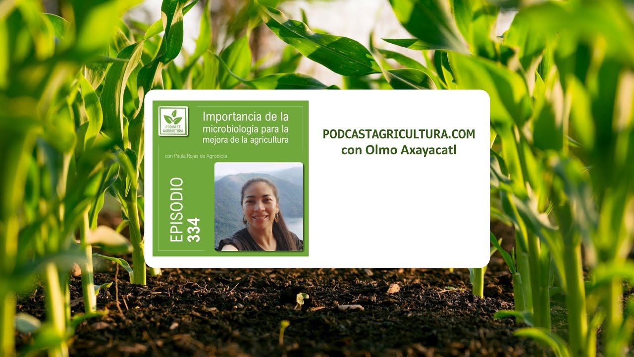 334 Importancia de la microbiología para la mejora de la agricultura con Paula Rojas