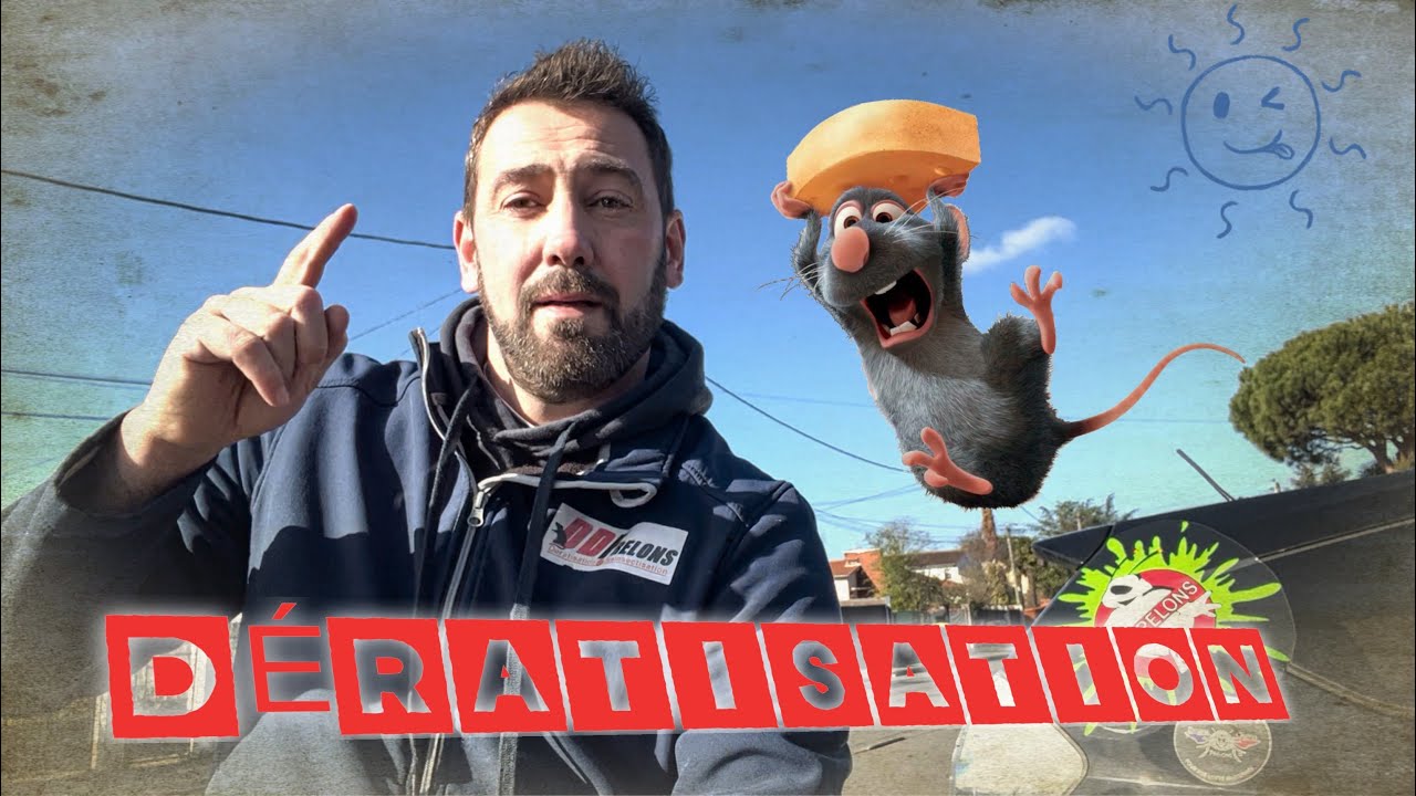Dératisation ( gros problème de rats au local poubelle )