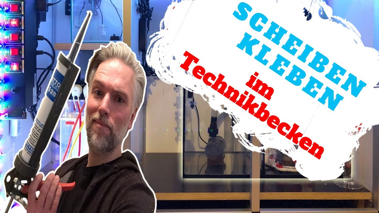 Meerwasseraquarium Technikbecken selber kleben