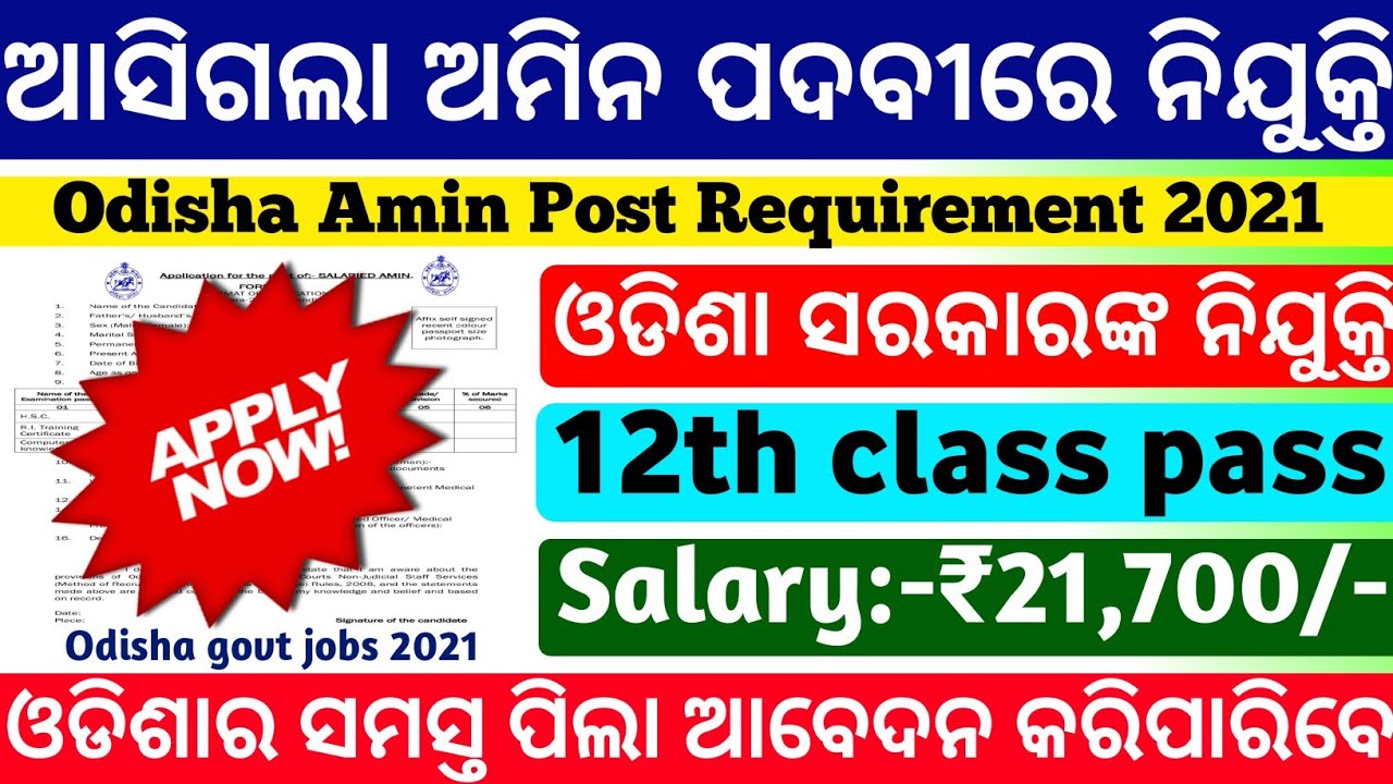 Amin Requirement Odisha 2021|Odisha govt jobs 2021|odisha job update|free job alert 2021|odisha jobs