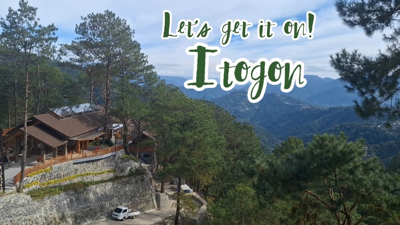 MT. CAMISONG FOREST PARK & EVENTS + CAFE STELLA, Itogon.