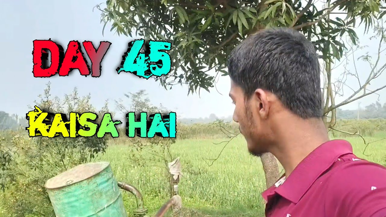 Gaon ka khet ka najara Kaisa Hai vlog 