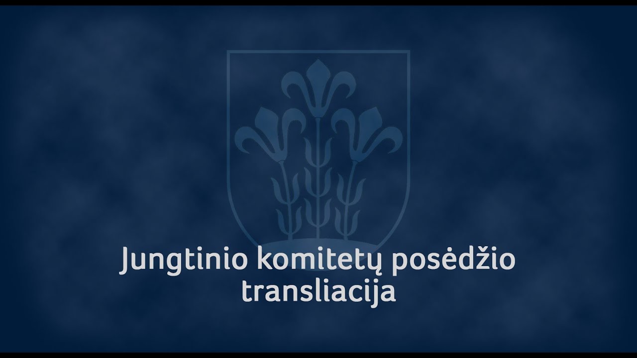 Jungtinis komitetų posėdis, 2025-12-11