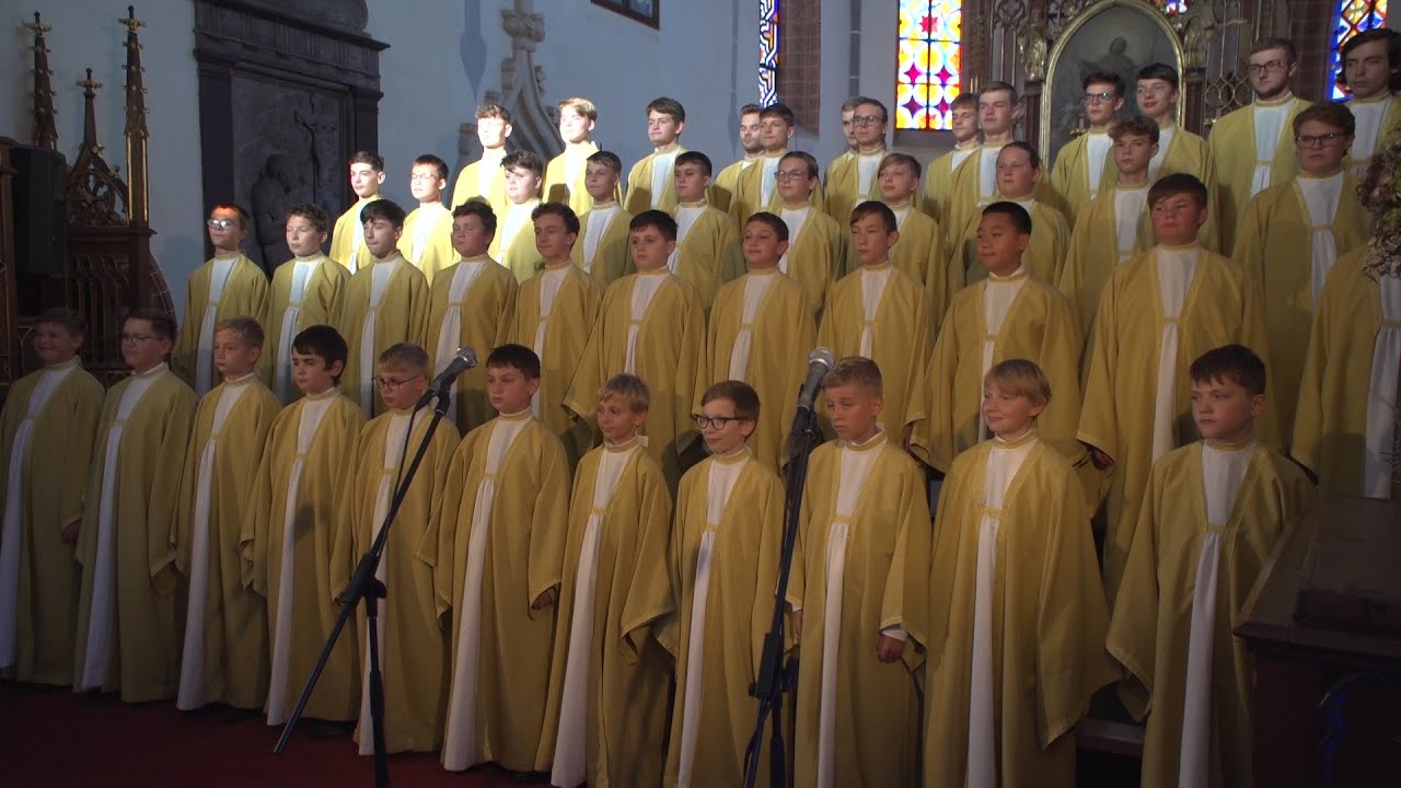 Boni pueri v Nepomuku