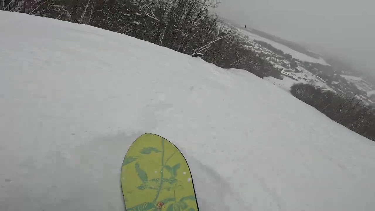 Riding the Burton Sketch Artist down Schuss