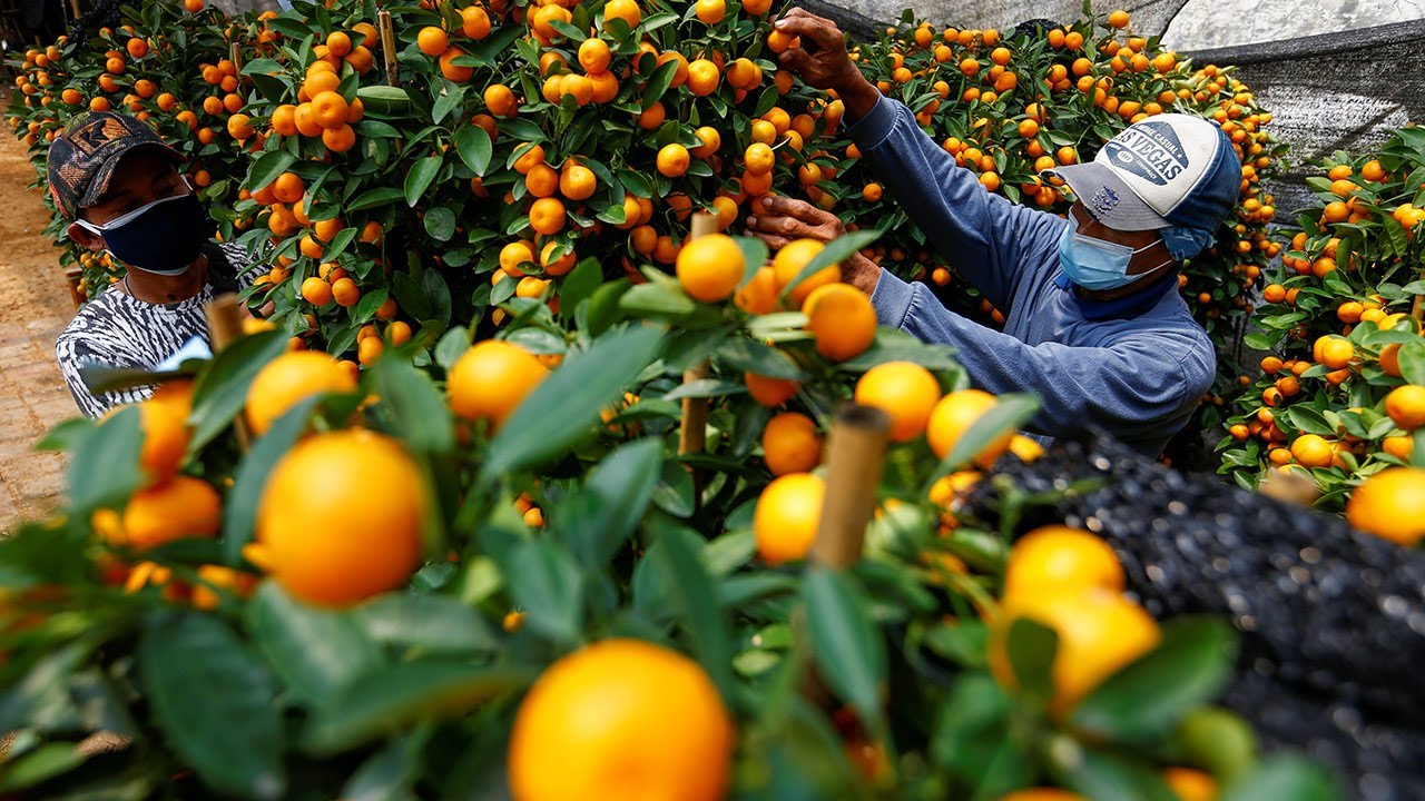 Eliminating Human Trafficking The Role of the Private Sector