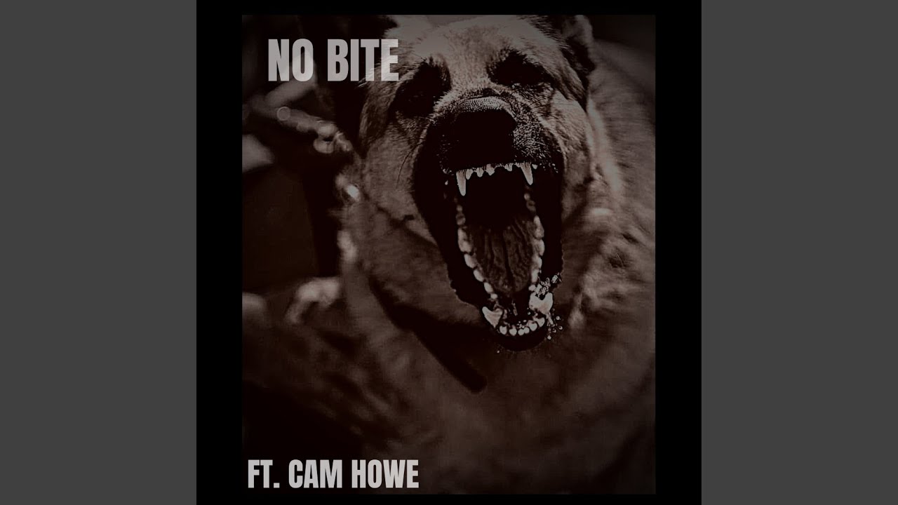 NO BITE