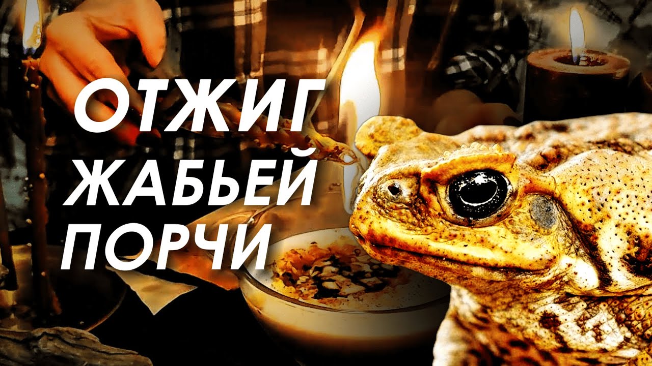 ЖАБЬЯ ПОРЧА 🐸 ЧИСТКА ПОРЧИ НА КРАСОТУ