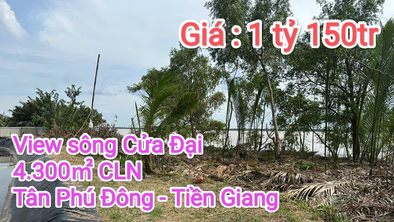Tập 642. B&aacute;n nh&agrave; vườn view s&ocirc;ng Cửa Đại. Diện t&iacute;ch 4.300㎡. Gi&aacute; 1ty150tr.