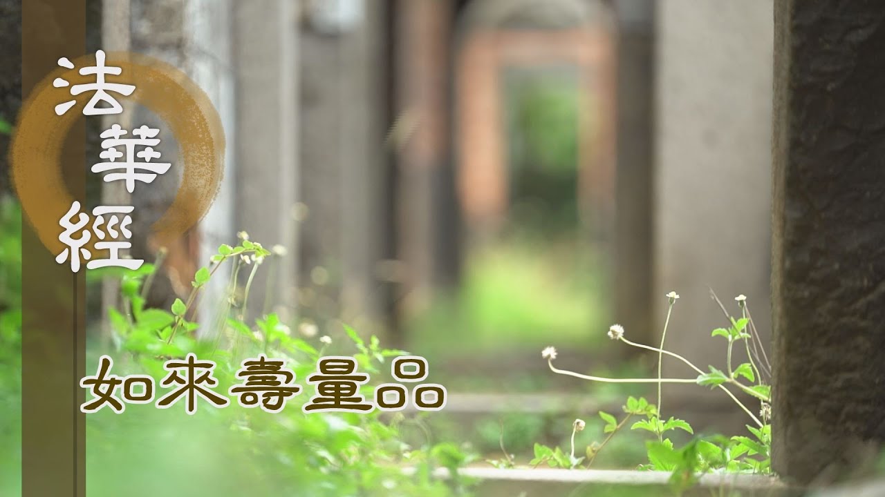 【靜思妙蓮華】法華經如來壽量品 - 三誡大眾 殷勤信解 - 20230925 第1509集