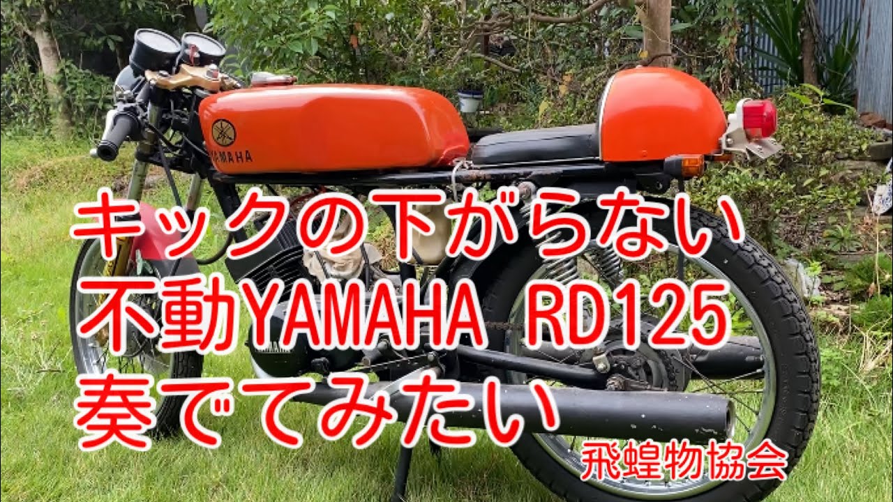 納屋物長期放置、キックの降りないYAMAHA  RD125 奏でてみたいやん。　飛蝗物協会