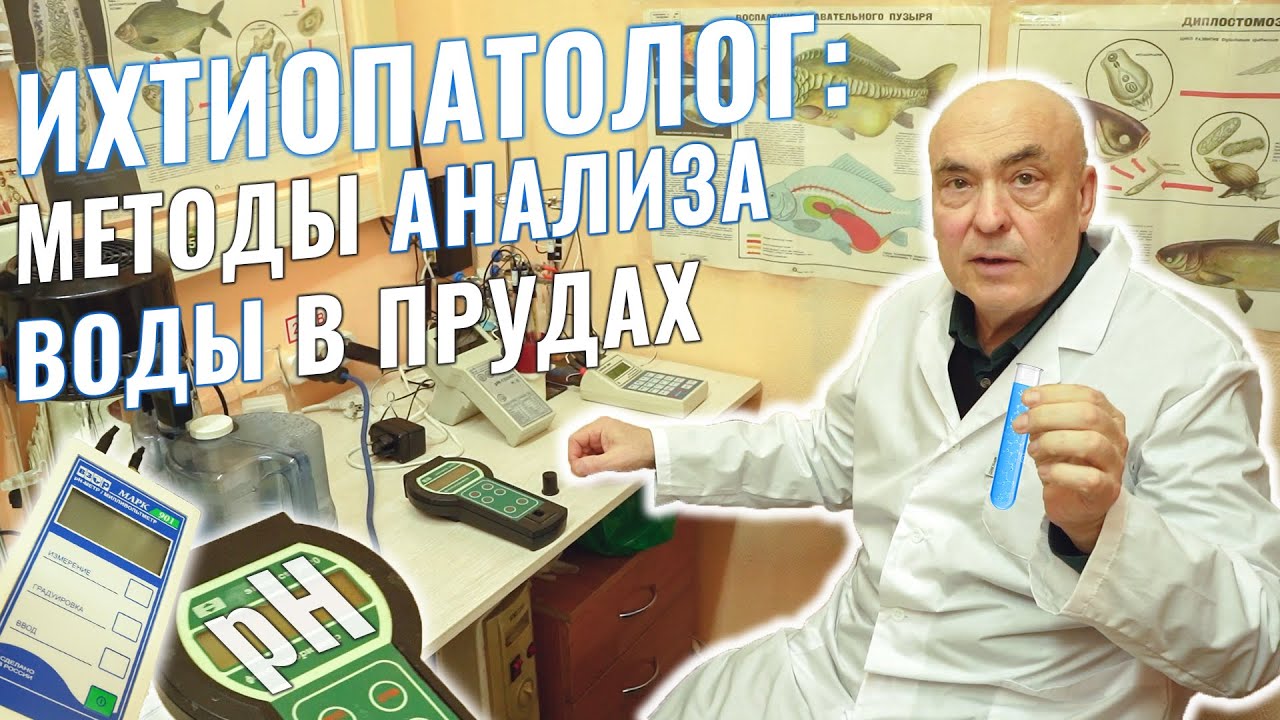 Эти знания помогут сохранить рыбу в вашем пруду! Методы гидрохимического анализа воды в водоёмах