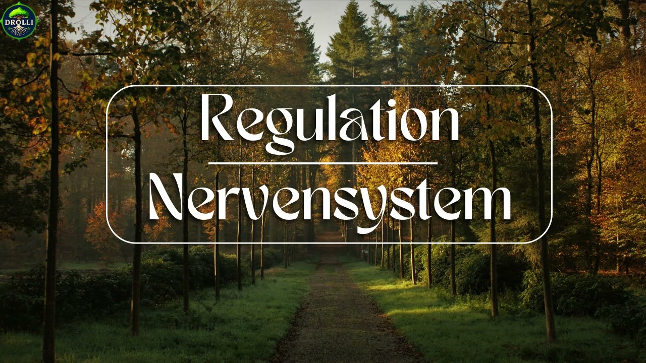Affirmation - Nervensystem Regulation (mit Musik)