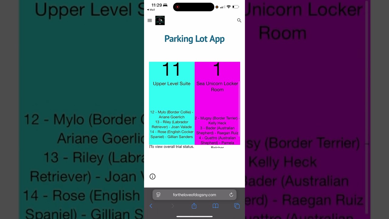 How to Use our Parking Lot App