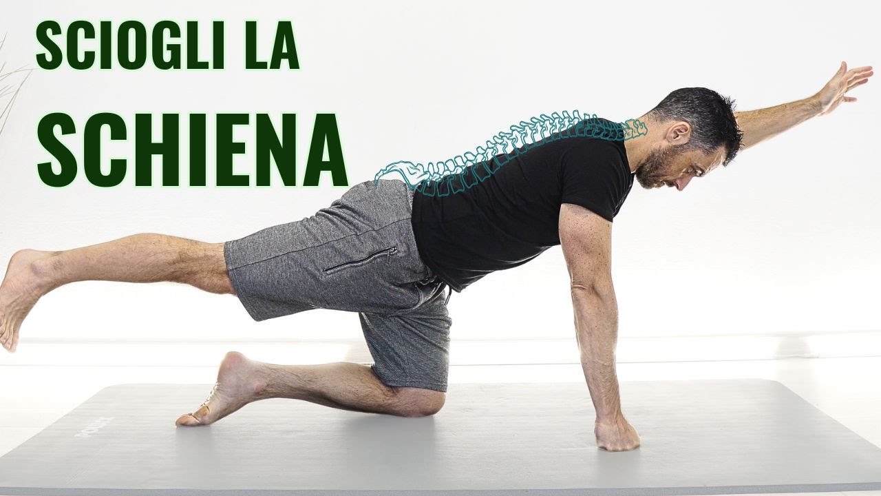 Sciogli la SCHIENA: allenamento COMPLETO di MOBILITÀ VERTEBRALE