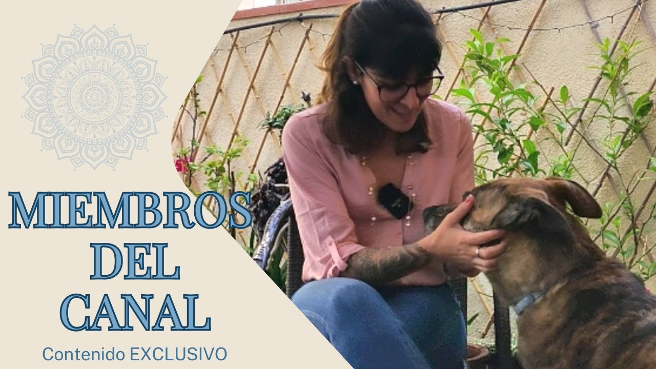 ÚNETE a Miembros del Canal - Contenido EXCLUSIVO