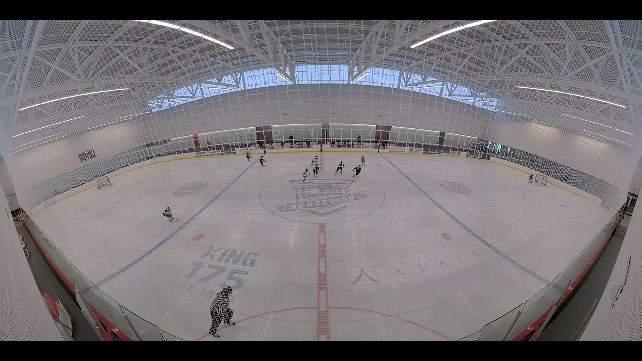 SSvsDucksFeb14part3