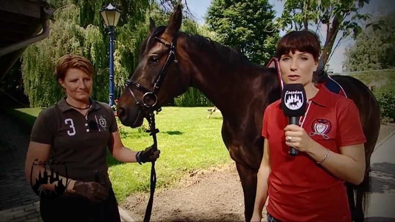 Loesdau Lessons: Basics mit Kati: Sattel nachgurten und Steigbügel einstellen