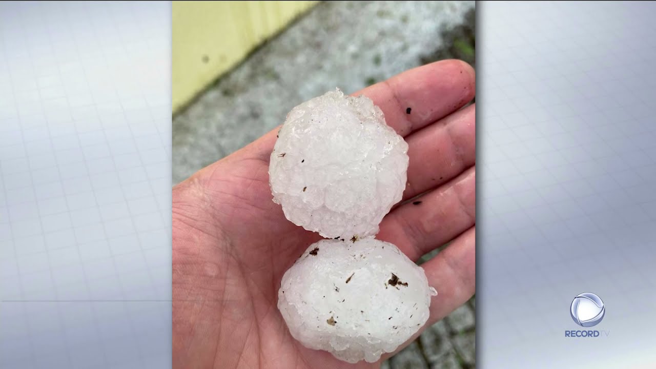 Granizo destrói vinhas e hortas em Vila Real