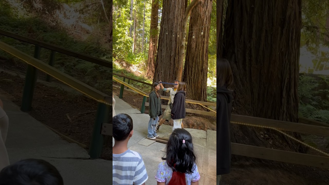 Height differences at Mystery spot 😀😀 #jfamilyworld #mysteryspot #santacruz #gravity #mustvisit
