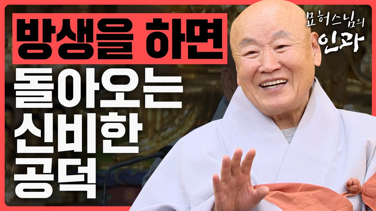 산 생명을 살려주는 방생! 방생을 하면 돌아오는 놀라운 공덕 이야기 [묘허스님의 인과 54화]