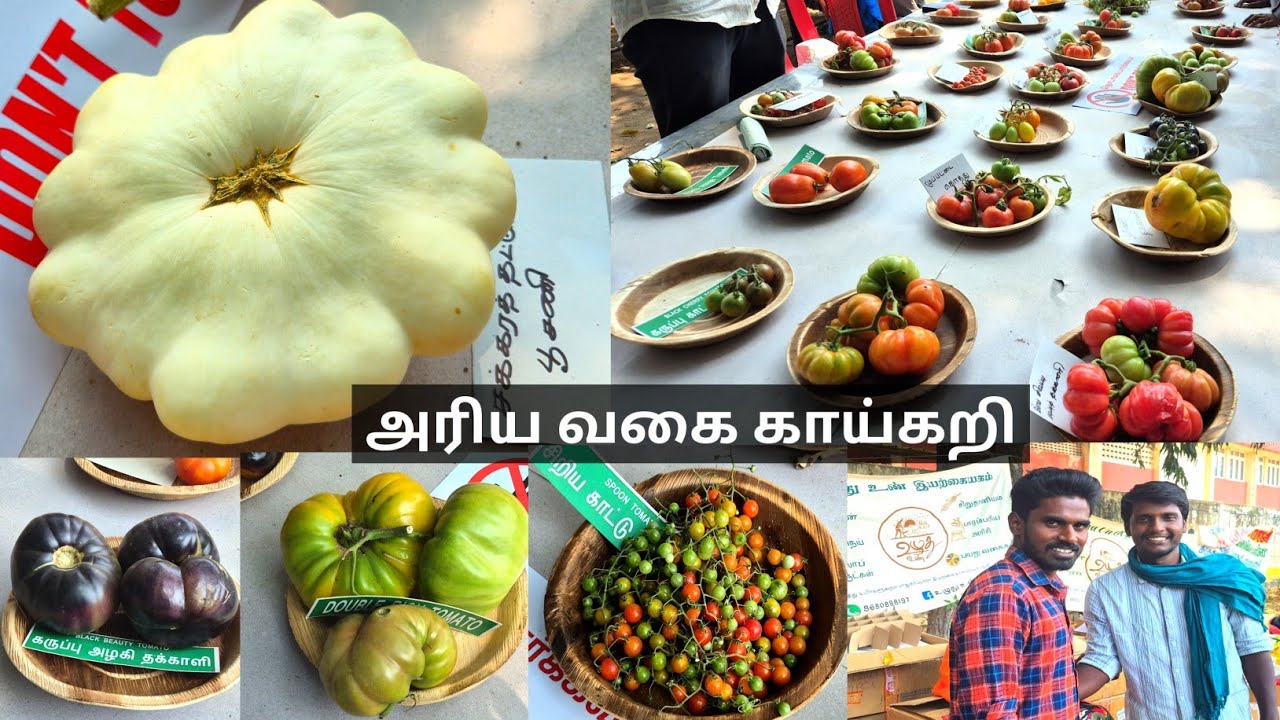 வேலூர் விதை திருவிழா 2026 - அரிய வகை காய்கறி ! (Vellore Seed Festival 2026 - Rare Vegetable Seeds