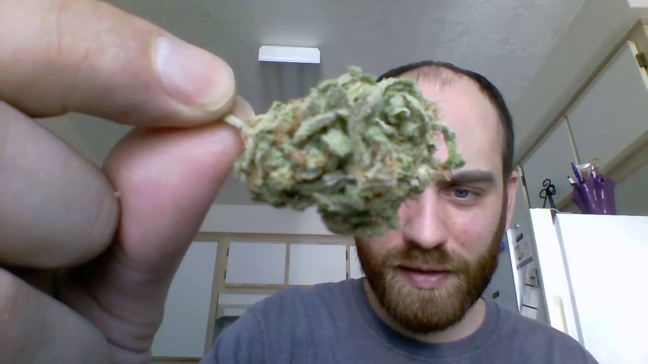 Dream Machine From a old hippie named Sparks !!From Heavy Weight Seeds