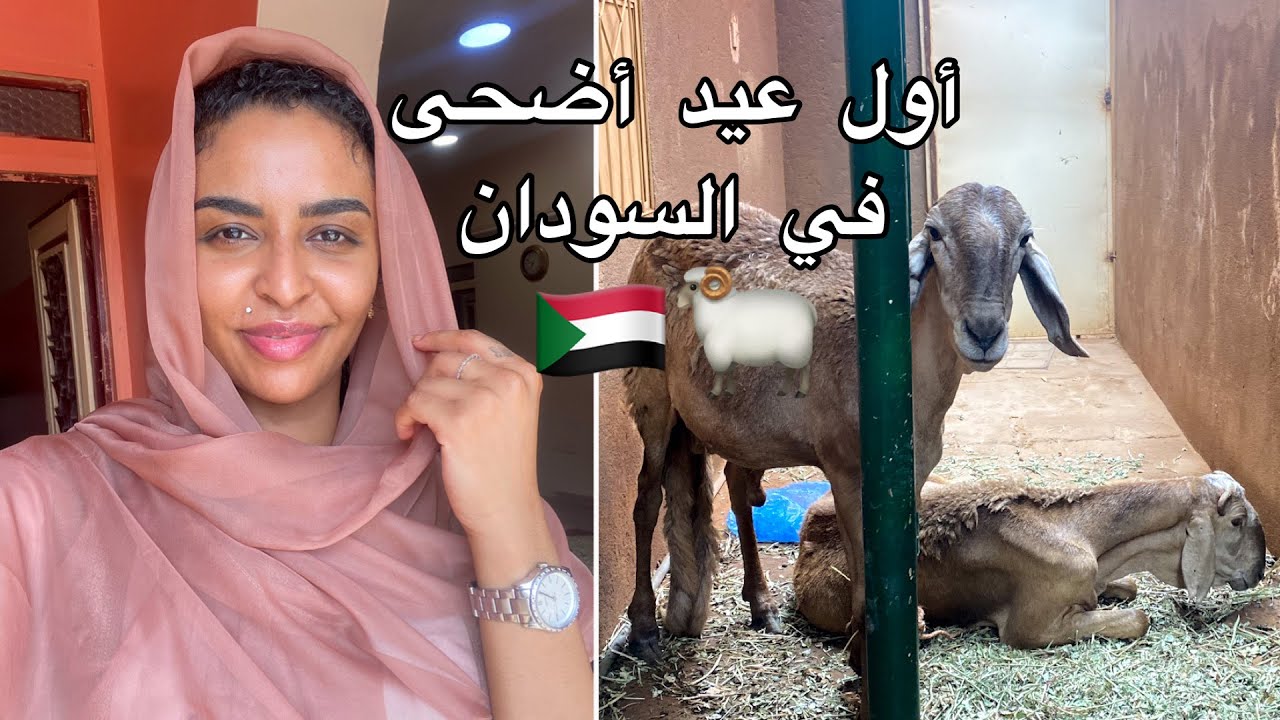 كيف قضيت أول عيد أضحى لي في السودان | فلوق تجهيزات العيد  🐏🇸🇩