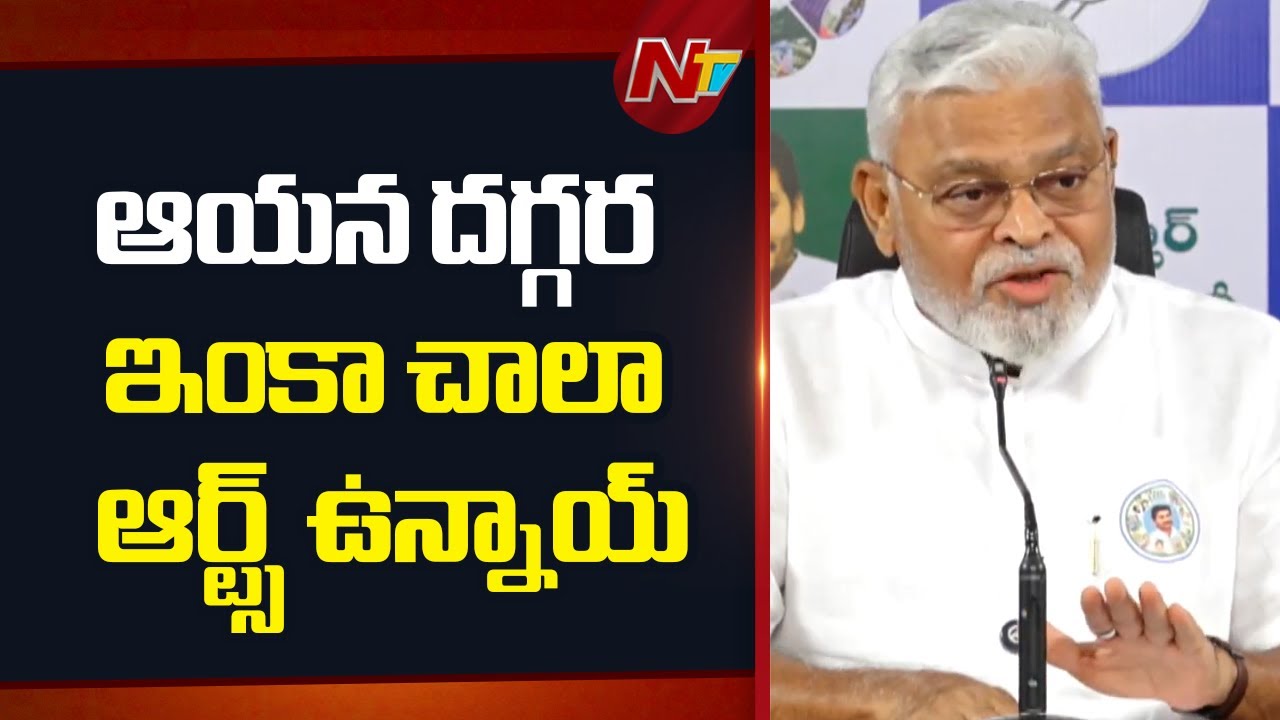 Ambati Rambabu Satires on Pawan Kalyan Tiger of Martial Arts | NTV Telugu