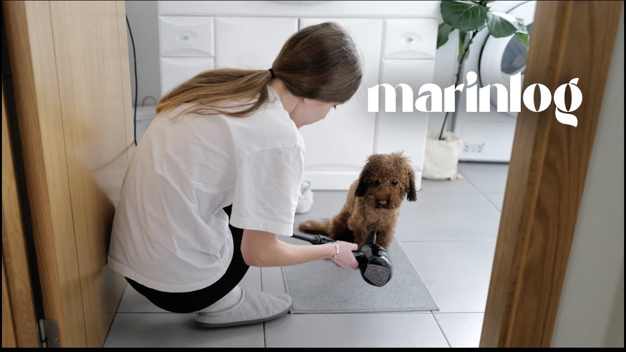 Silent vlog | Minimalist home routine | Bathing toy poodle