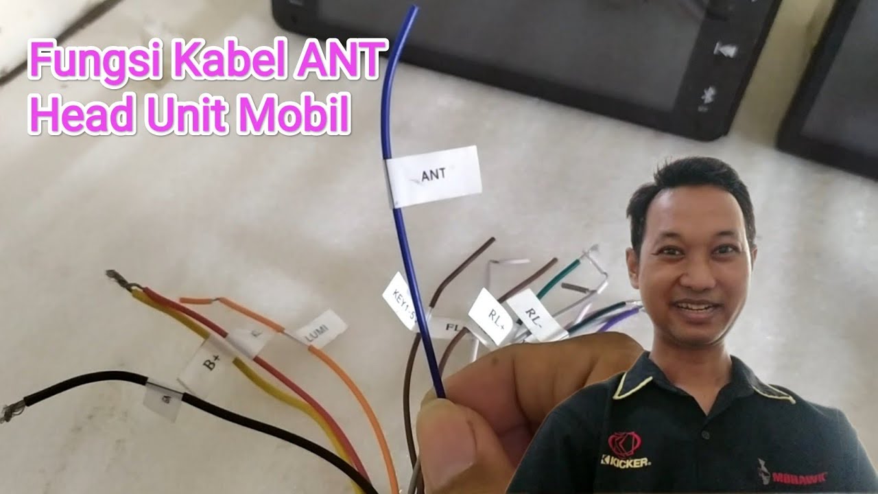 Fungsi Kabel ANT pada Head Unit Mobil