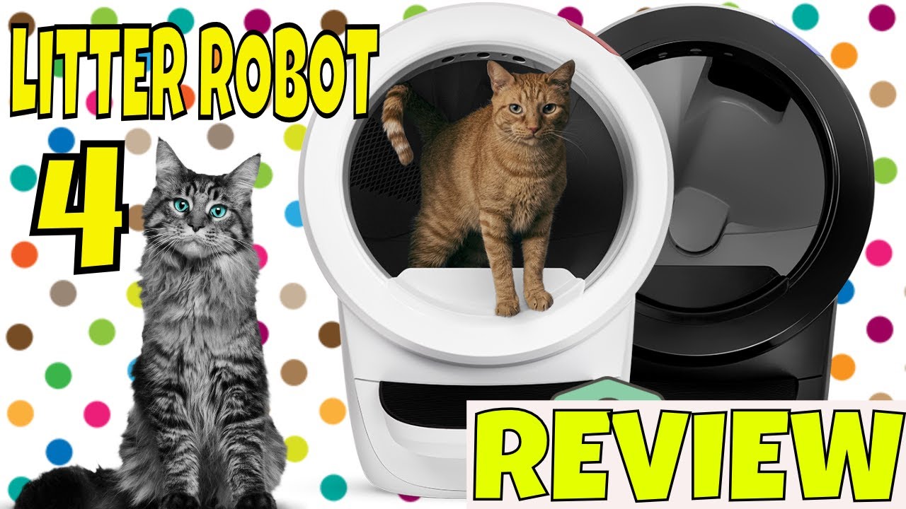 Litter Robot 4 by Whisker - in Depth 30 Day REVIEW - Is it worth it?