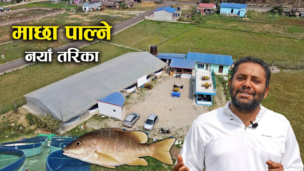 किसान चुलो सहित युवा एग्रो फार्मको भ्रमण_देखियो माछा पाल्ने नयाँ तरिका !