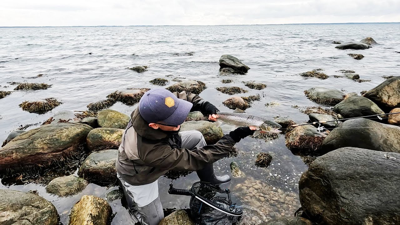 FISKE efter HAVSÖRING - Säsongsavslutning Skåne 2022
