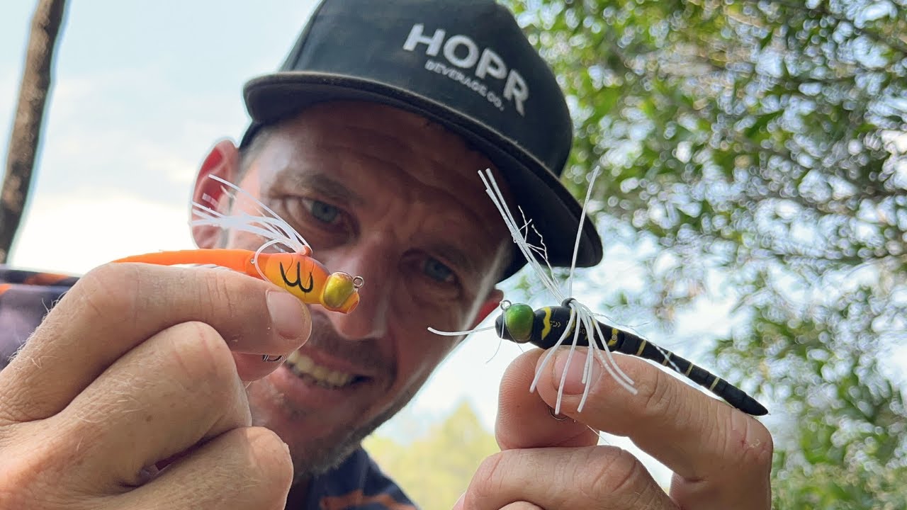 Путешествие утонувшей стрекозы — соленая вода против пресной!