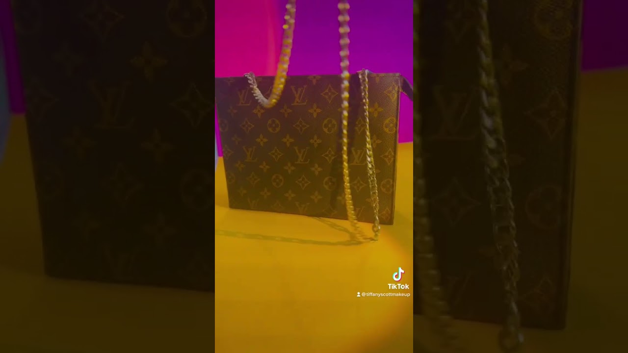 Amazon Purse Insert & Chain