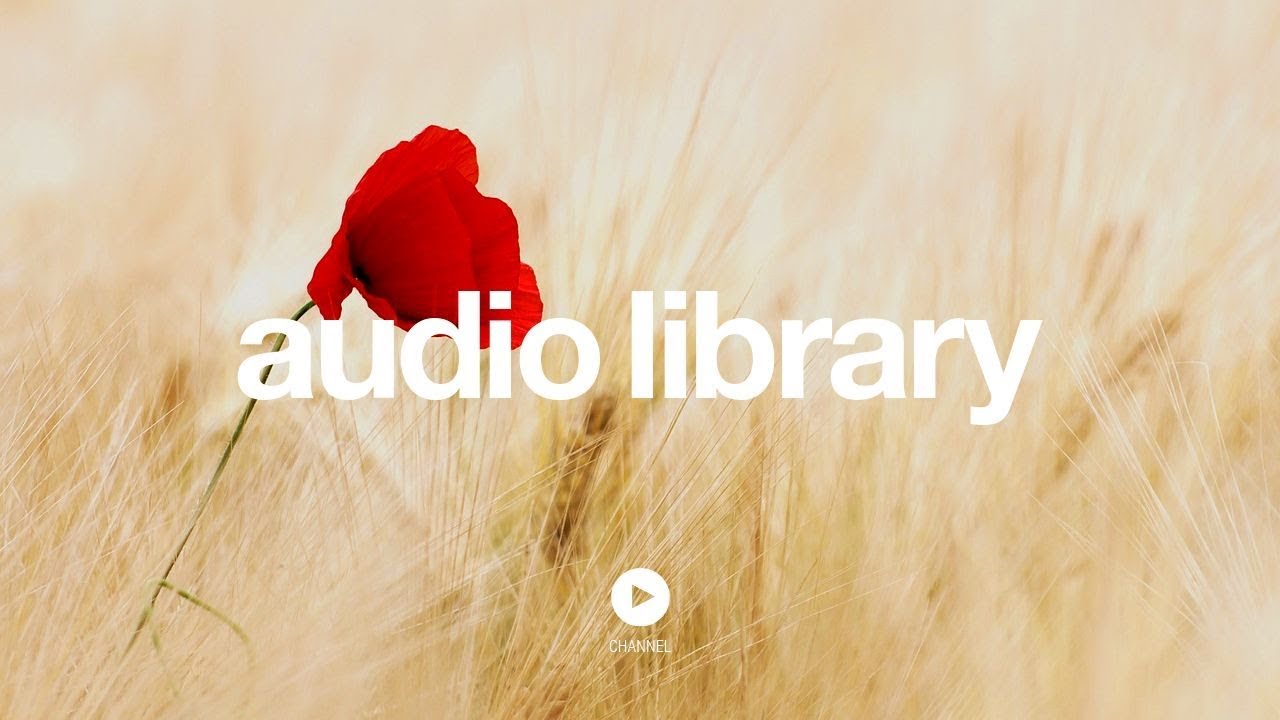 Water Lily &ndash; The 126ers (No Copyright Music)