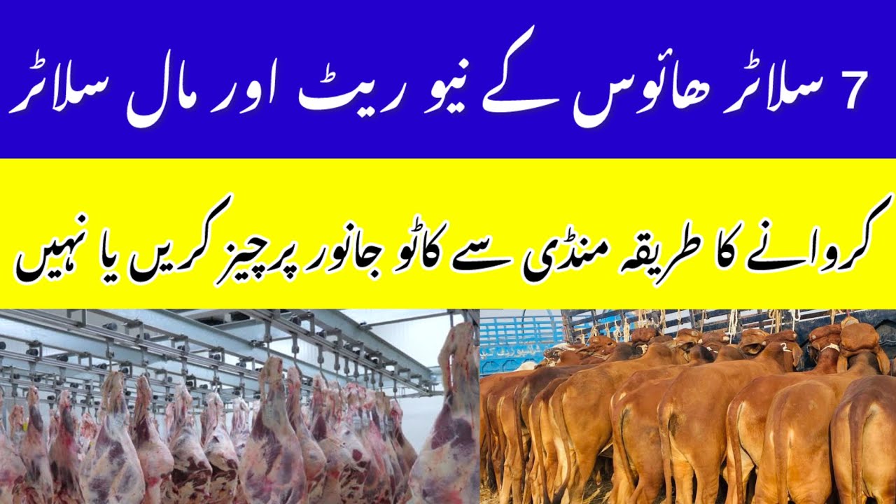 Slughter House ka new rate or katto janwar ka new rate