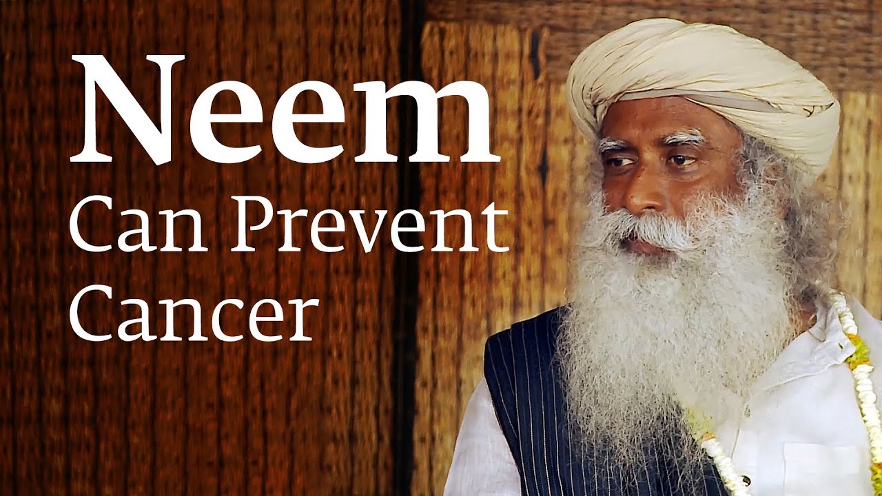 How Consuming Neem Can Prevent Cancer &ndash; Sadhguru