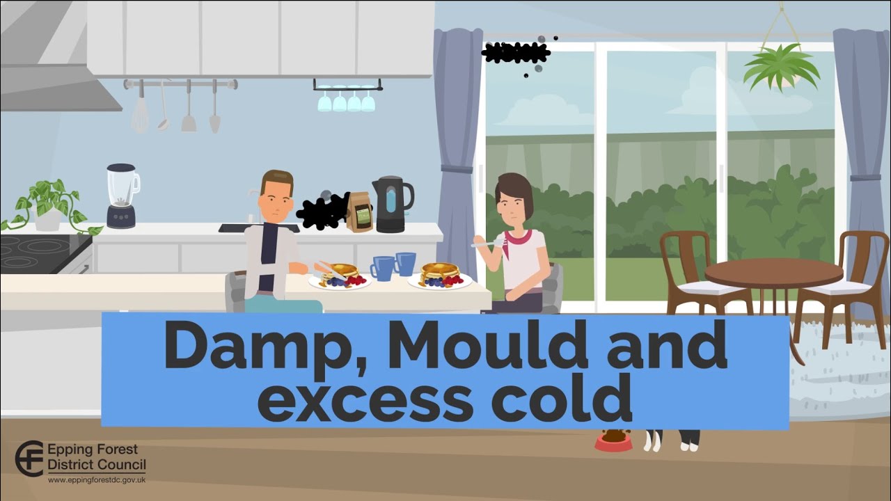 Damp, mould and excess cold