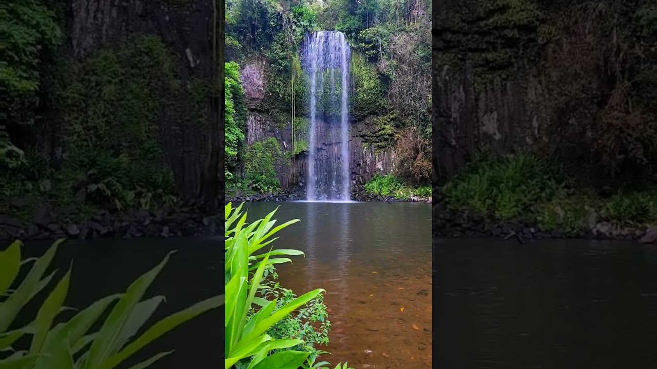 Chasing waterfalls, wild and free. Milla Milla Falls.