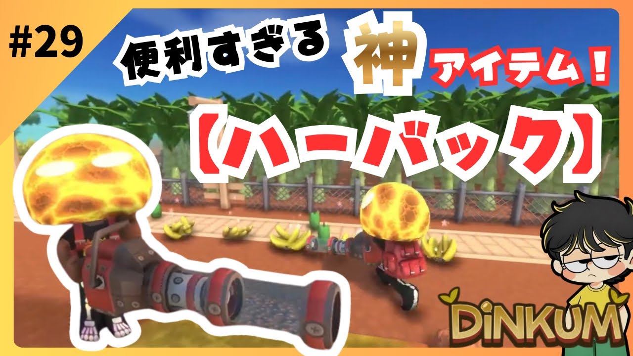 #29 便利すぎる神アイテム『ハーバック』【ディンカム】