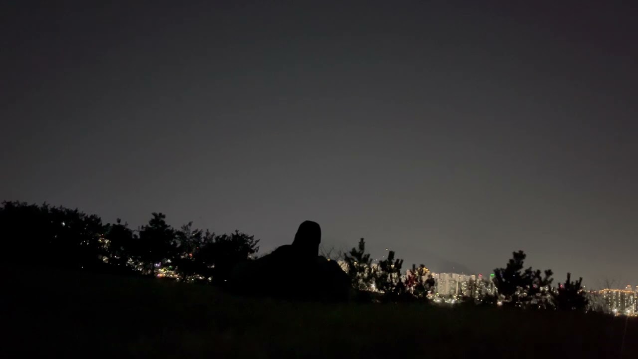 Guys! I saw a shooting star!!1