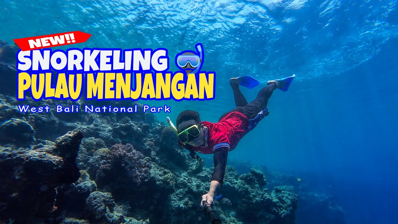 Snorkeling Pulau Menjangan, SURGA BAWAH LAUT INDONESIA