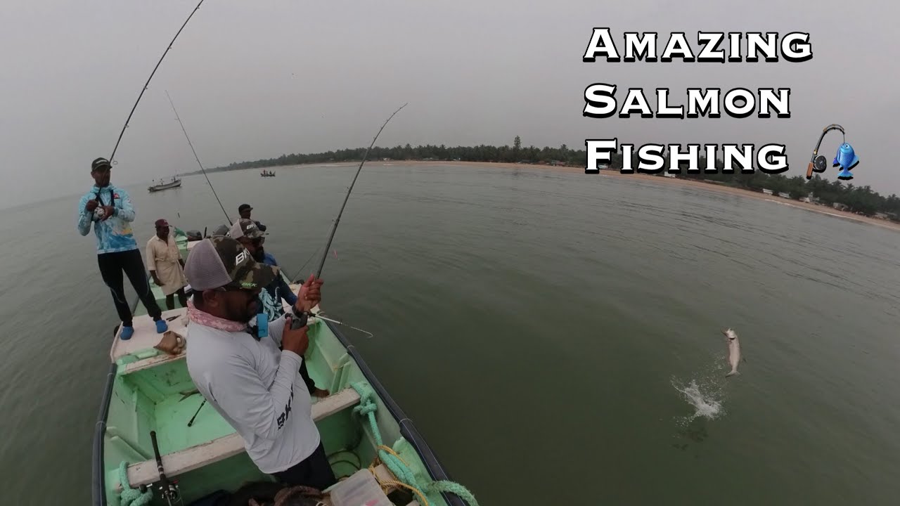 എത്ര പിടിച്ചാലും ത്രില്ല് പോകാത്ത മീൻ | Salmon Hunting at it’s best #tackletips