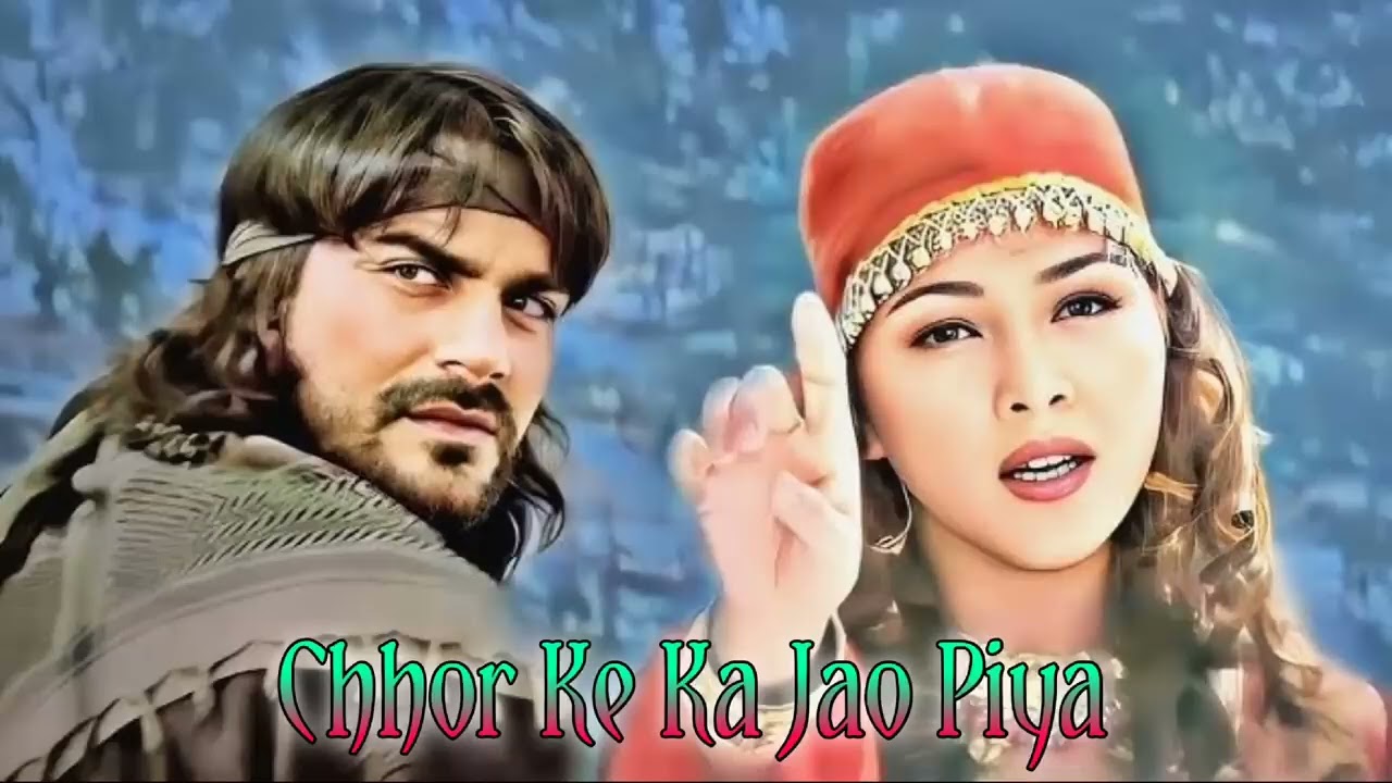 Chhodh Ke Na Jaa Ooh Piya ❤️Love Songs❤️ Alka Yagnik Arbaaz Khan Tabu_Maa Tujhhe Salaam #video 