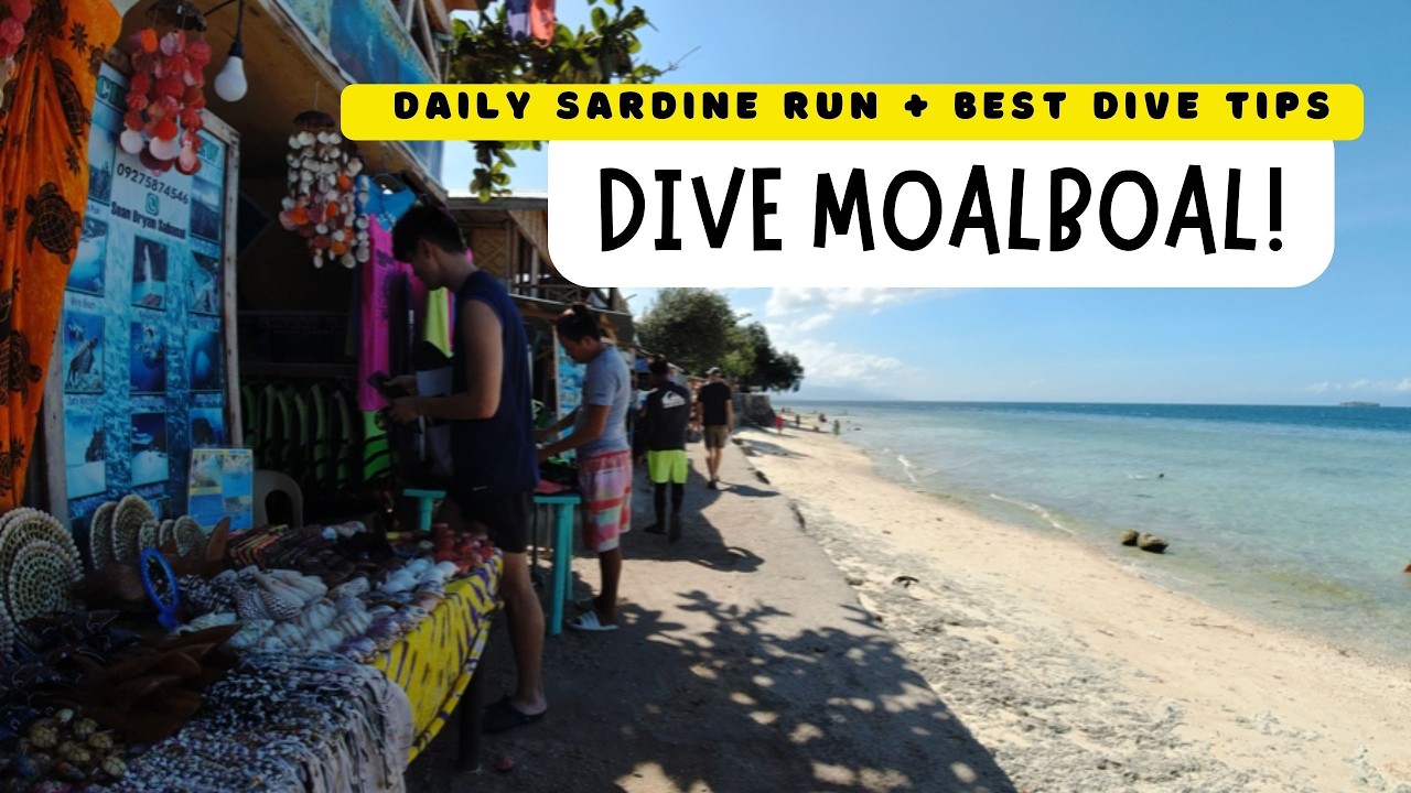 Moalboal Diving Guide 2025 🇵🇭 | Sardine Run, Budget Tips, Best Spots + What to Know Before You Go!