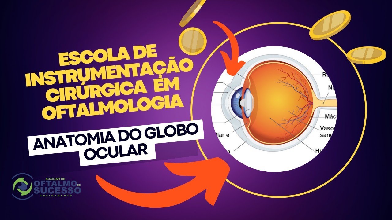 Anatomia do globo ocular Parte 1/3