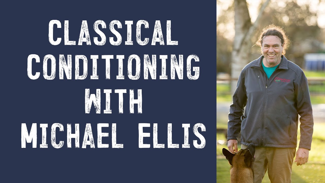 Classical Conditioning with Michael Ellis