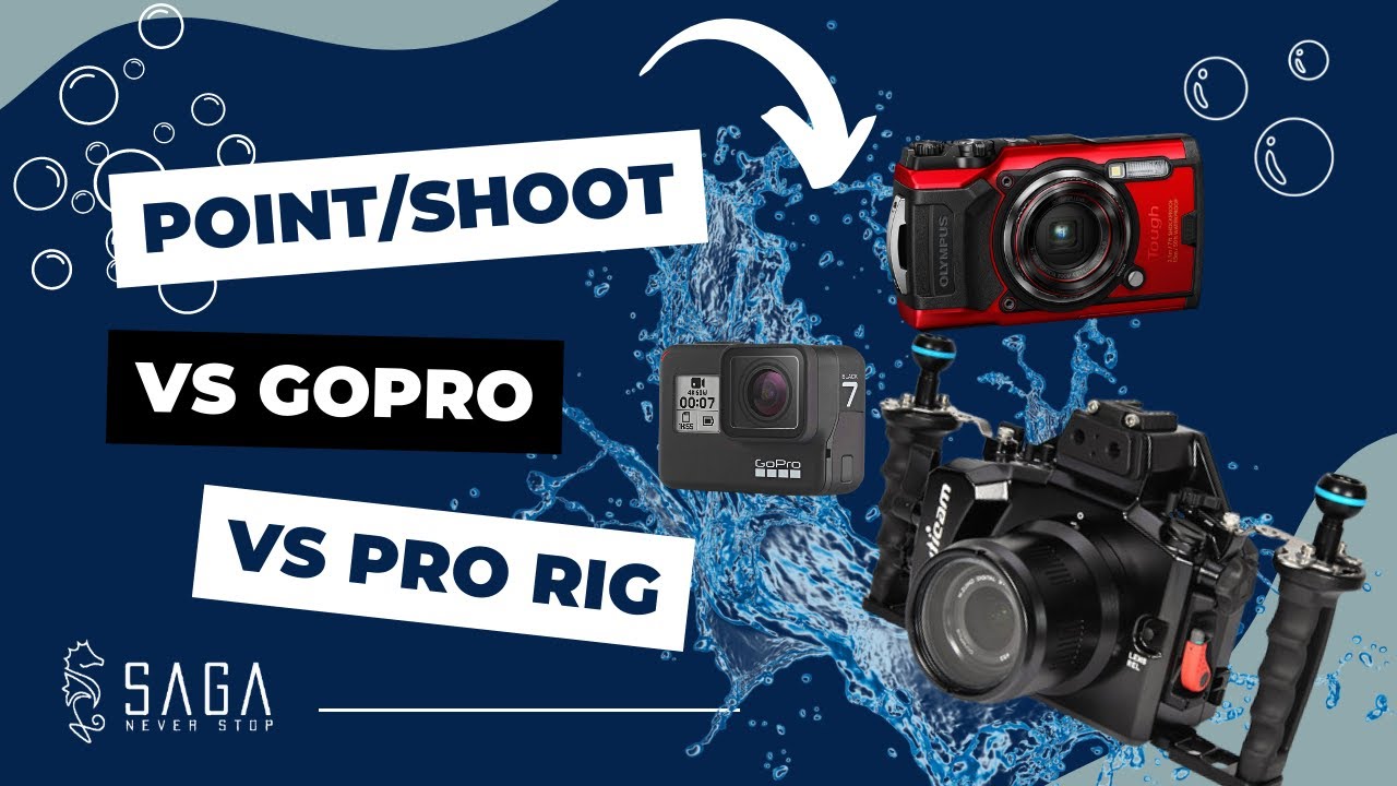 Professional UNDERWATER PHOTOS with a GoPro?